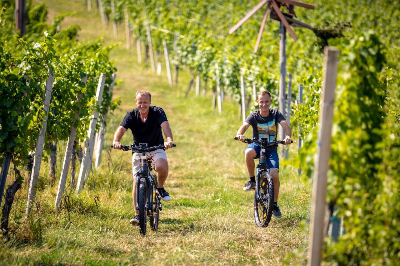 Weingut-Gaestehaus Birnstingl Gamlitz Dış mekan fotoğraf