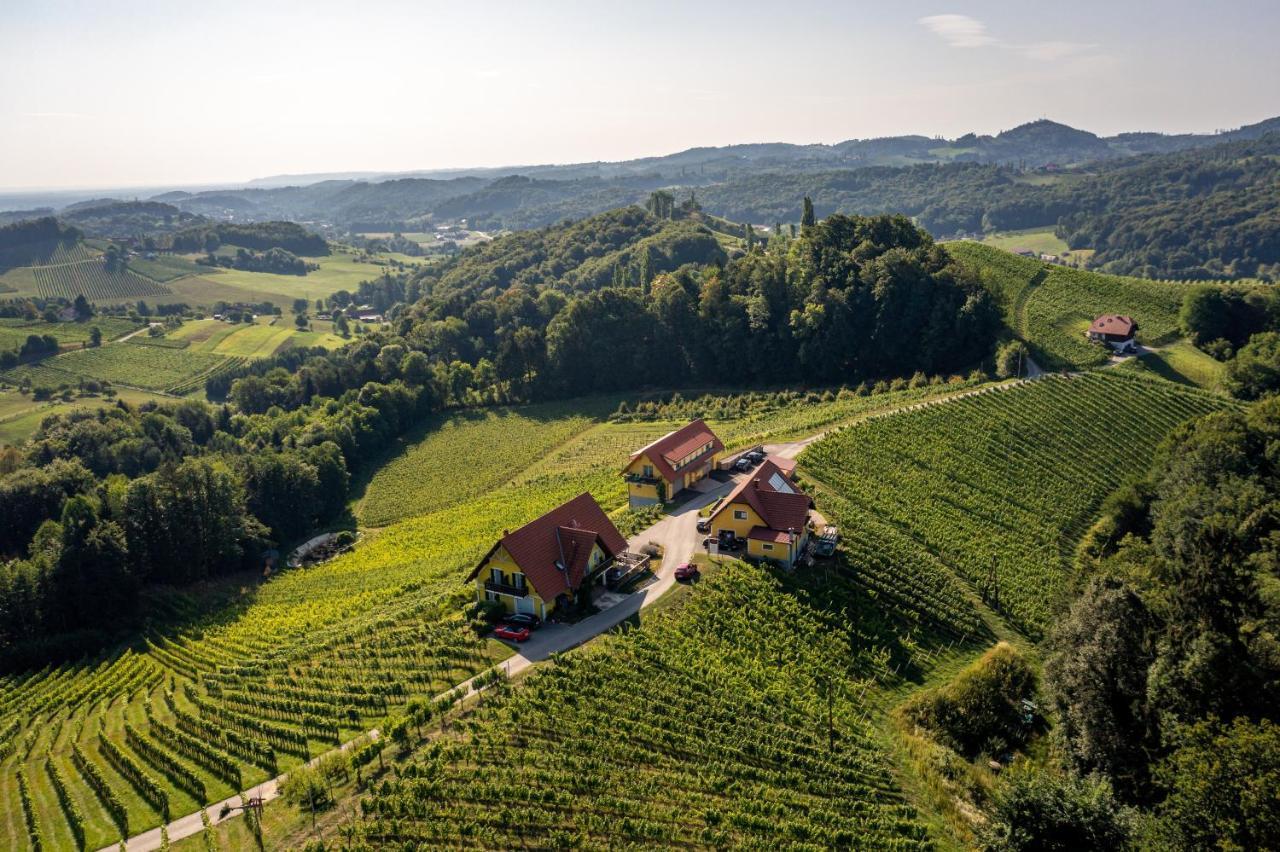Weingut-Gaestehaus Birnstingl Gamlitz Dış mekan fotoğraf